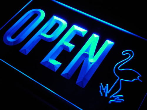 OPEN Flamingo Animals Display Neon Light Sign